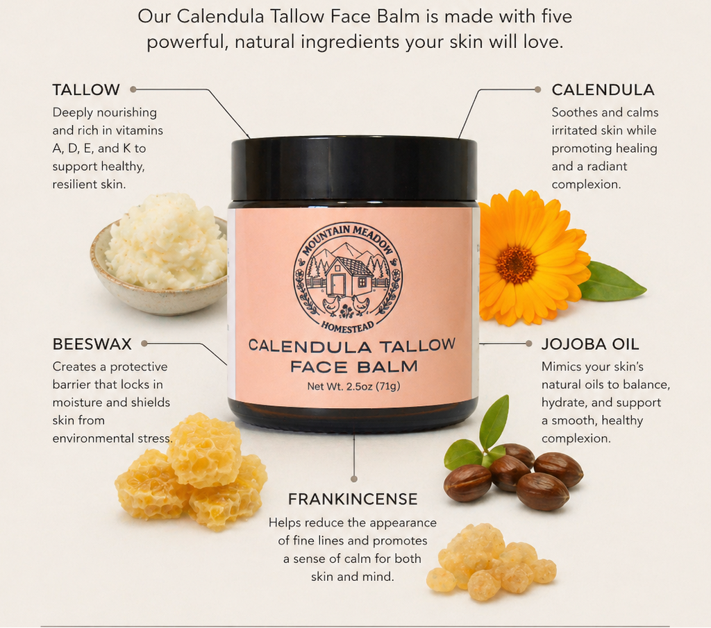 Calendula tallow face balm with ingredients and benefits on a light background